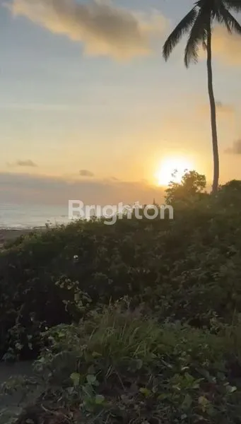 TANAH 60 JUTA PER ARE FRONT BEACH JEMBRANA NEGARA