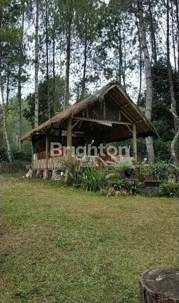 image SEJUK DAN NYAMAN. VILLA DEKAT LOKASI WISATA THE LODGE LEMBANG FULL FURNISHED (7)