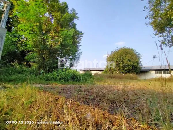 image GUDANG DI GEMPOL PASURUAN (14)