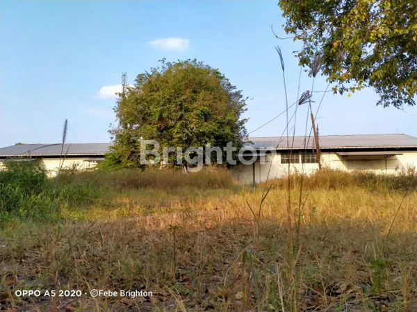 image GUDANG DI GEMPOL PASURUAN (11)