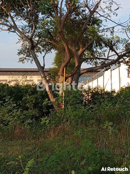 image TANAH STRATEGIS AREA USAHA RAMAI JARANG ADA (3)