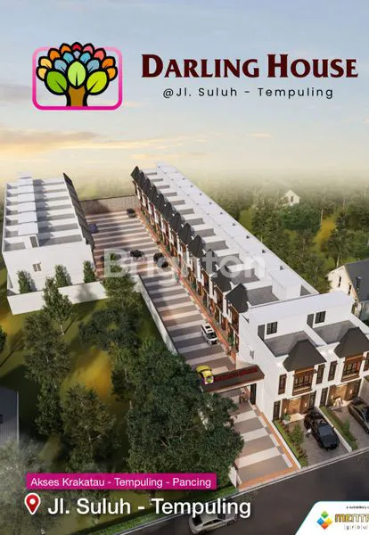 image DARLING HOUSE (5)