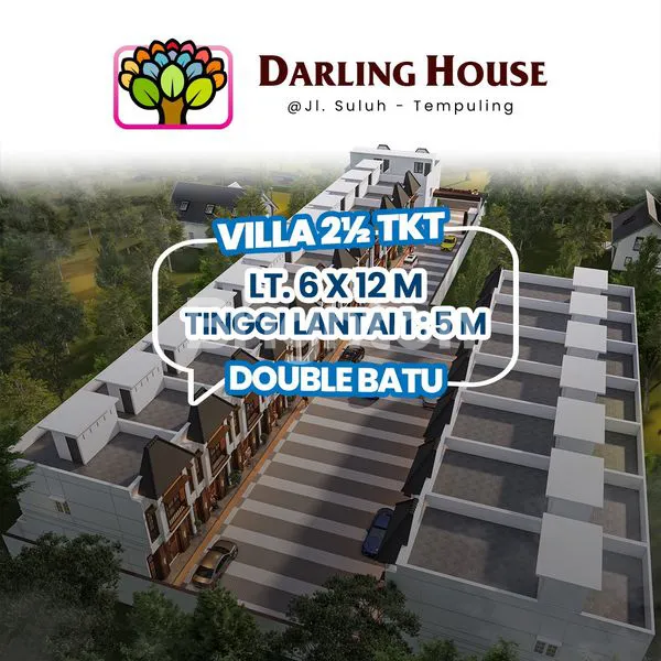 image DARLING HOUSE (3)