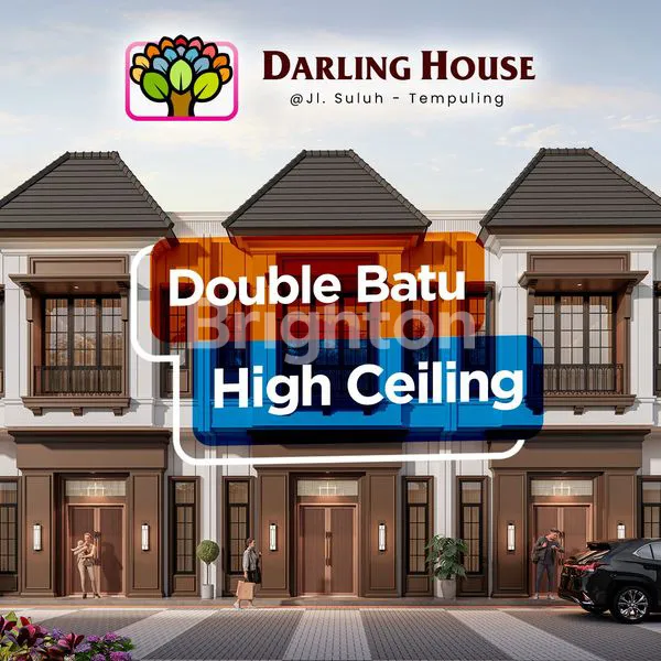 image DARLING HOUSE (2)
