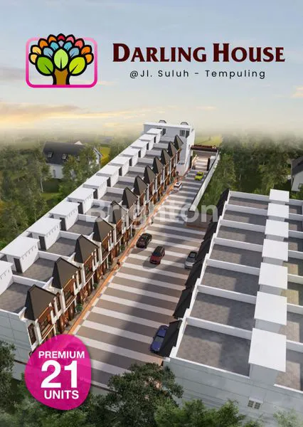 image DARLING HOUSE (6)