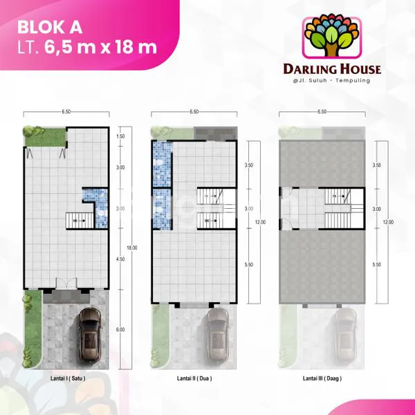 image DARLING HOUSE (8)