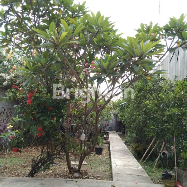 image RUMAH MEWAH CANTIK SIAP HUNI (7)