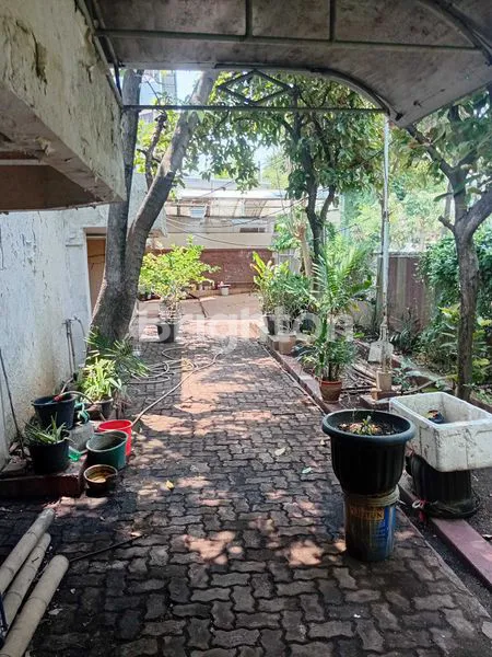 image RUMAH TUA HITUNG TANAH AJA KARANG BOLONG (3)