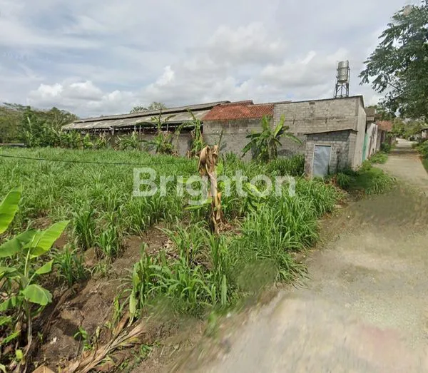 image GUDANG BUAT KANDANG BABI DI  KABUPATEN BLITAR (5)