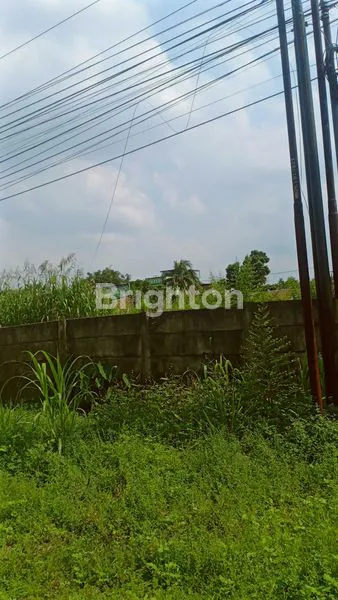 image GUDANG HELVETIA (1)