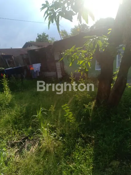 image RUMAH DAN TANAH 600 M (2)