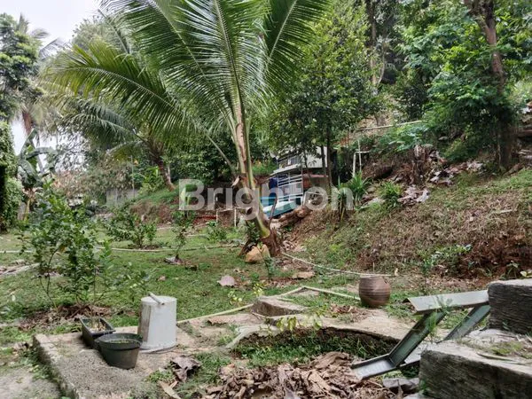 image MURAH BANGET LOH \U203C\UFE0F\U203C\UFE0FKAVLING EKSKLUSIF.SINDANG BARANG.BOGOR (3)