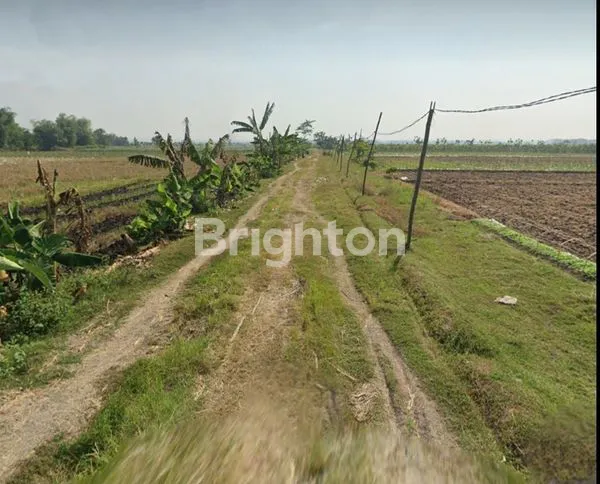 image TANAH TERNAK DI LENGKONG, KAB NGANJUK (2)