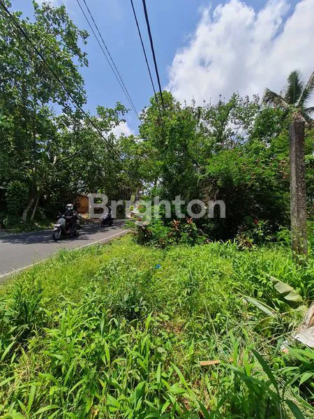 image TANAH STRATEGIS PINGGIR JALAN, TEGALLALANG GIANYAR BALI (HITUNG TANAH SAJA) (5)