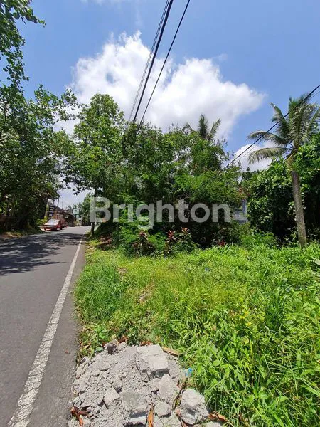 image TANAH STRATEGIS PINGGIR JALAN, TEGALLALANG GIANYAR BALI (HITUNG TANAH SAJA) (4)