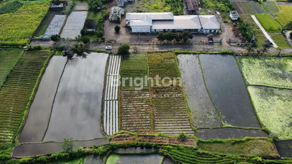 DIJUAL TANAH COCOK UNTUK PABRIK DAN GUDANG