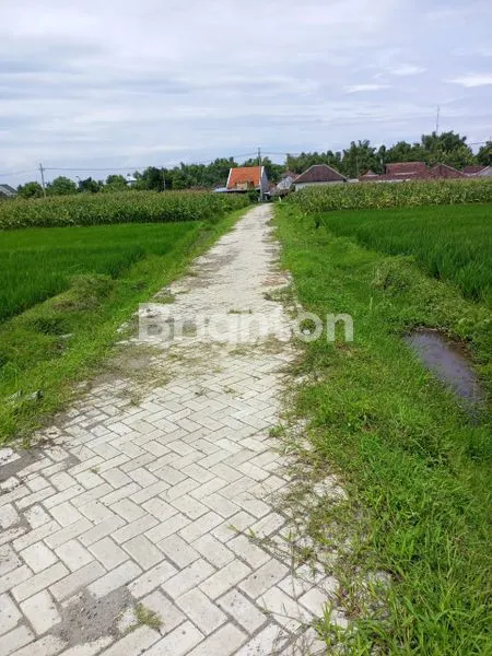 SAWAH PRODUKTIF