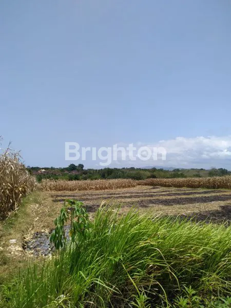 DIJUAL TANAH GLOBAL DI TEGALMENGKEB TABANAN