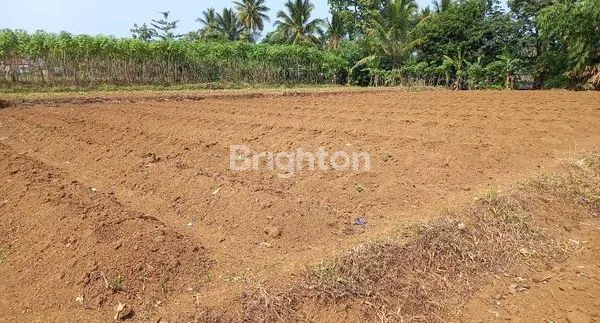 image TANAH YANG SANGAT COCOK UNTUK MEMBANGUN RUMAH DAN USAHA (1)