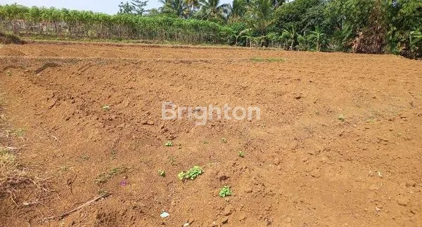 image TANAH YANG SANGAT COCOK UNTUK MEMBANGUN RUMAH DAN USAHA (2)