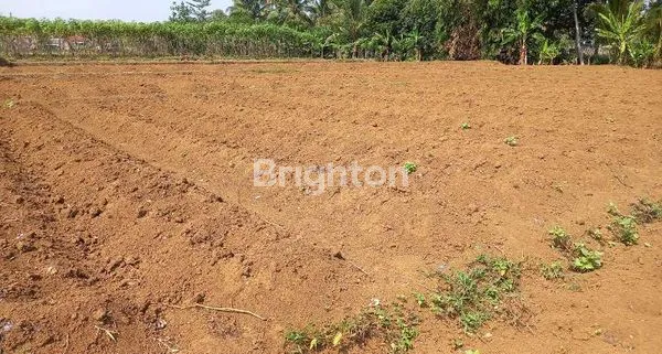 image TANAH YANG SANGAT COCOK UNTUK MEMBANGUN RUMAH DAN USAHA (4)