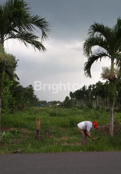 TANAH DANAU POSO,GATOT SUBROTO