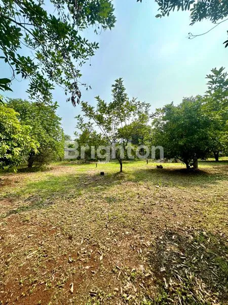 image KAVLING MURAH TANAH 3500 M² KOMPLEK NILAKANDI KEMBANG LARANGAN TANGERANG (3)