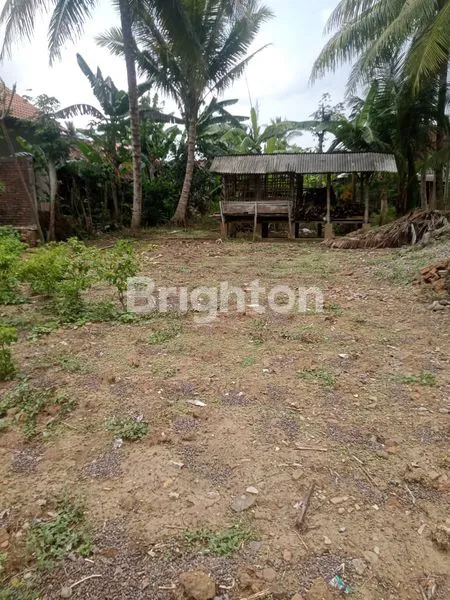 TANAH DEKAT NOL JALAN TRENGGALEK