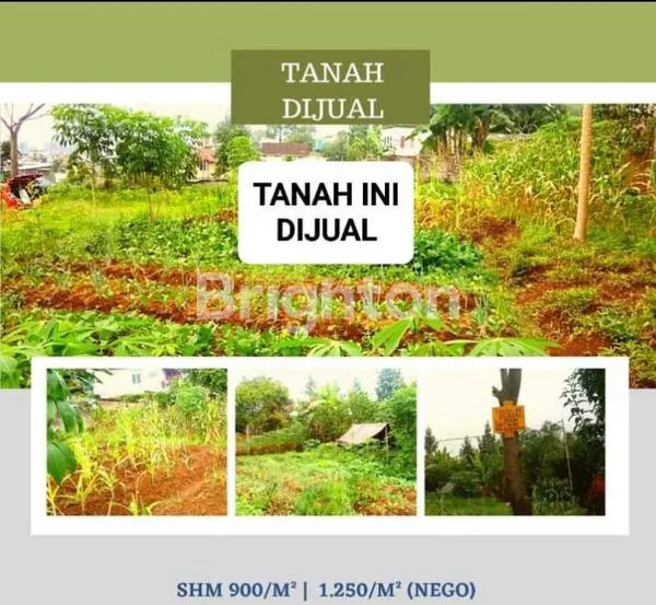 image KAVLING SIAP BANGUN MEGA MENDUNG  (1)