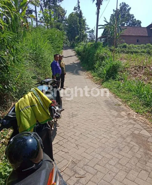 image TANAH DI DESA KLAMPOK SINGOSARI MALANG (2)