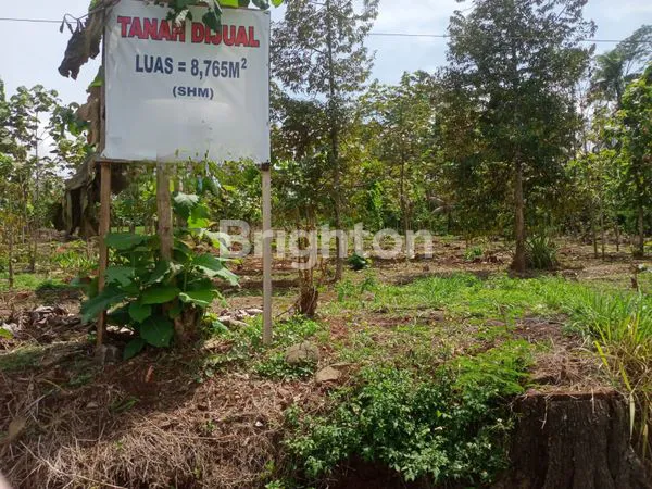 TANAH KOSONG COCOK UTK INDUSTRI, PERUMAHAN DI BOJA