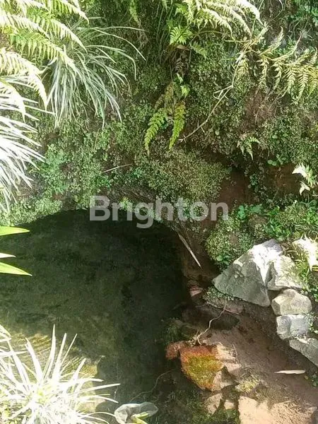 image TANAH LUAS DAN MURAH DI KOTA BATU DEKAT DENGAN SELECTA DAN ADA SUMBER AIR (2)