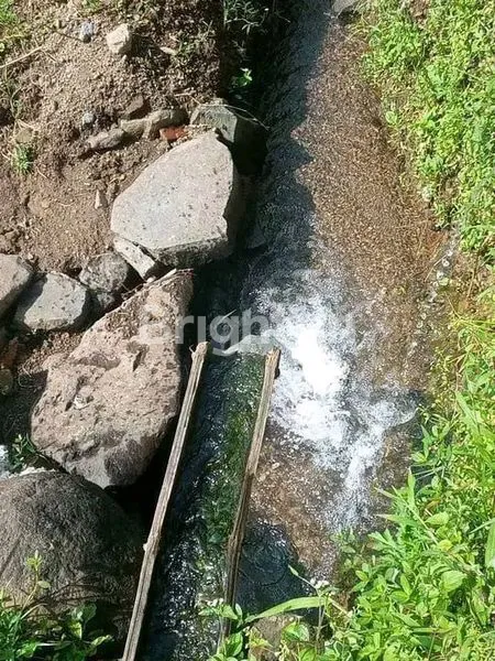 image TANAH LUAS DAN MURAH DI KOTA BATU DEKAT DENGAN SELECTA DAN ADA SUMBER AIR (3)