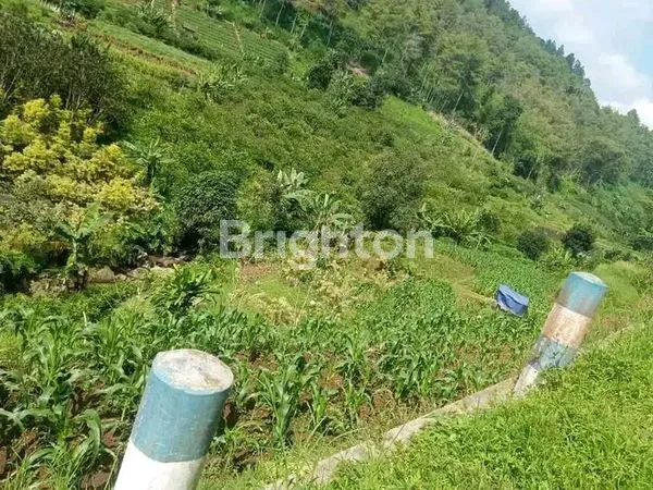image TANAH LUAS DAN MURAH DI KOTA BATU DEKAT DENGAN SELECTA DAN ADA SUMBER AIR (4)