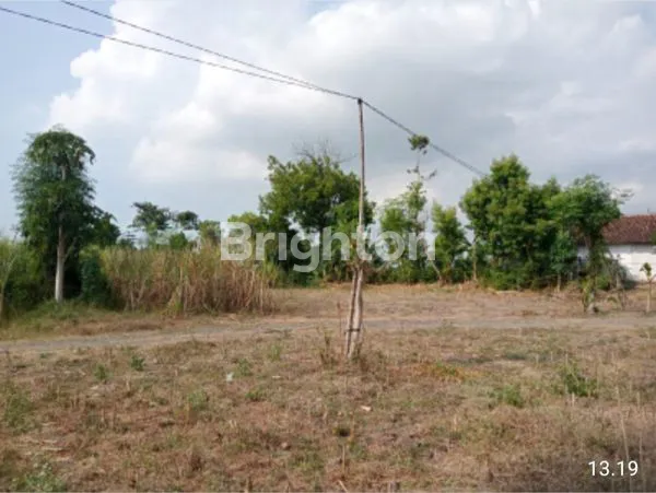 DIJUAL TANAH DESA WRINGINANOM PROBOLINGGO