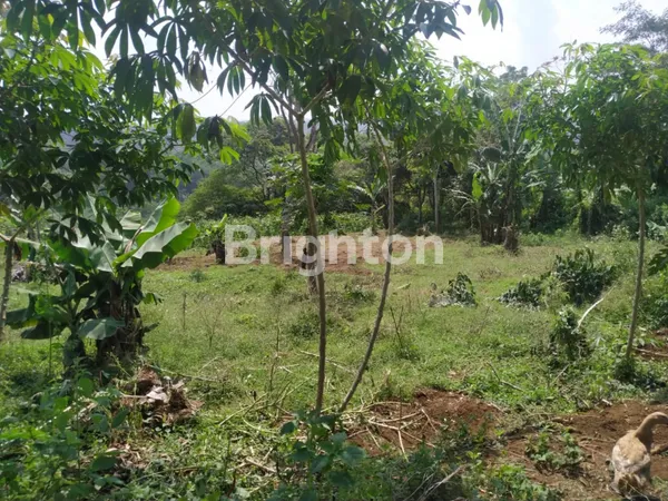 image DIJUAL MURAH!! TANAH KEBUN SIAP BANGUN VIEW INDAH COCOK UNTUK RUMAH MAKAN ATAU PERISTIRAHATAN (2)