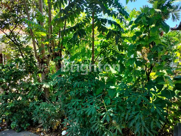 image TANAH BONUS BANGUNAN RUMAH DAN KOST DI DEKAT RENON (2)