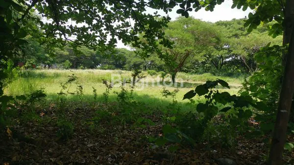 image LAHAN KOSONG DI KAWASAN INDUSTRI SEMARANG BARAT (4)