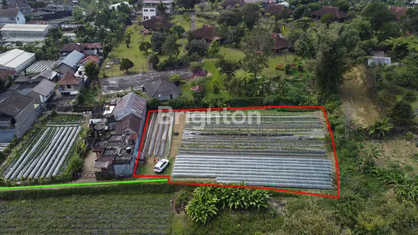 image TANAH KOMERSIL VIEW BUKIT DAN DANAU DI BEDUGUL (2)