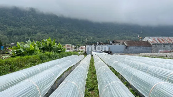 image TANAH KOMERSIL VIEW BUKIT DAN DANAU DI BEDUGUL (3)