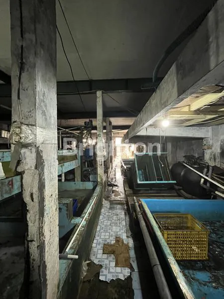 image GUDANG DALAM KOMPLEK PERGUDANGAN PANTAI INDAH DADAP (3)