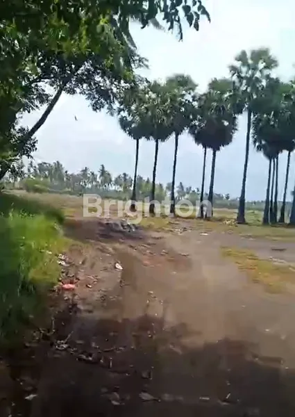 DI JUAL TANAH LOS PANTAI  SUMBERKIMA BULELENG BALI