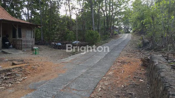 image TANAH PEKARANGAN SIAP BANGUN DEMANGREJO TUGU (1)