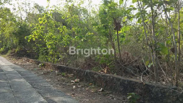 image TANAH PEKARANGAN SIAP BANGUN DEMANGREJO TUGU (4)