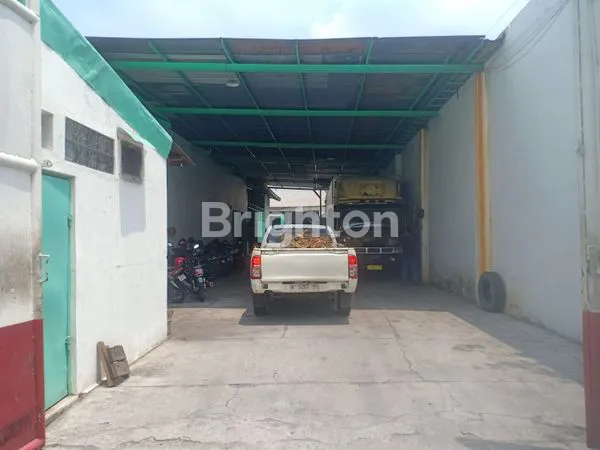 image TOKO/SHOWROOM  (2)