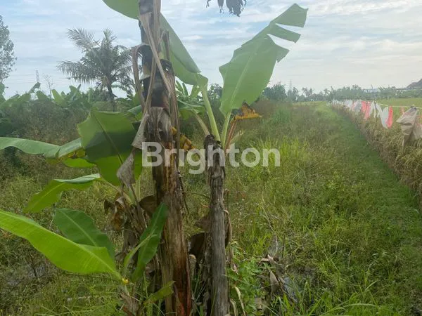 image TANAH DAERAH MENGWI (3)