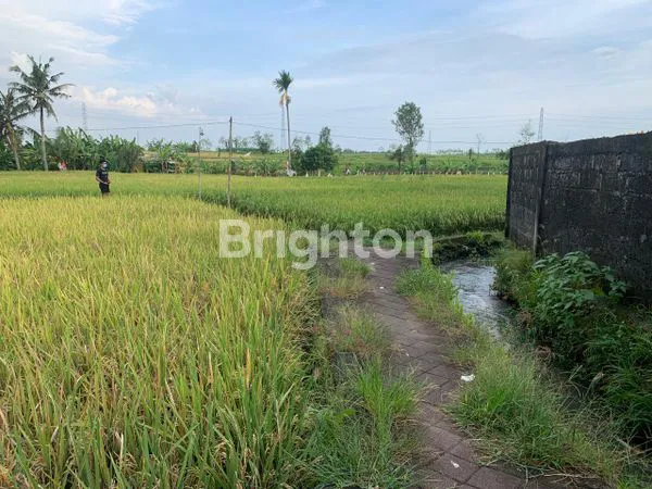 image TANAH DAERAH MENGWI (4)