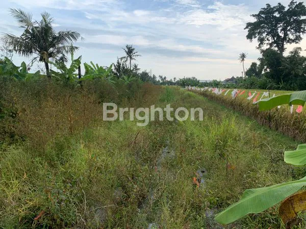 image TANAH DAERAH MENGWI (2)