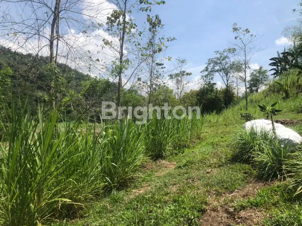 image MURAHH !!! DIJUAL CEPAT TANAH PARANGLOE (3)