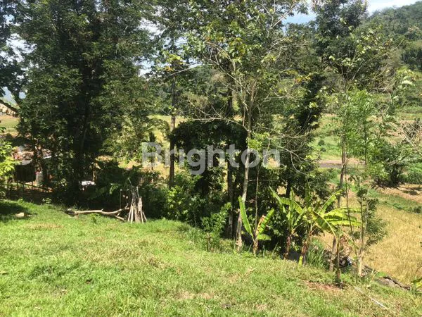 image MURAHH !!! DIJUAL CEPAT TANAH PARANGLOE (6)